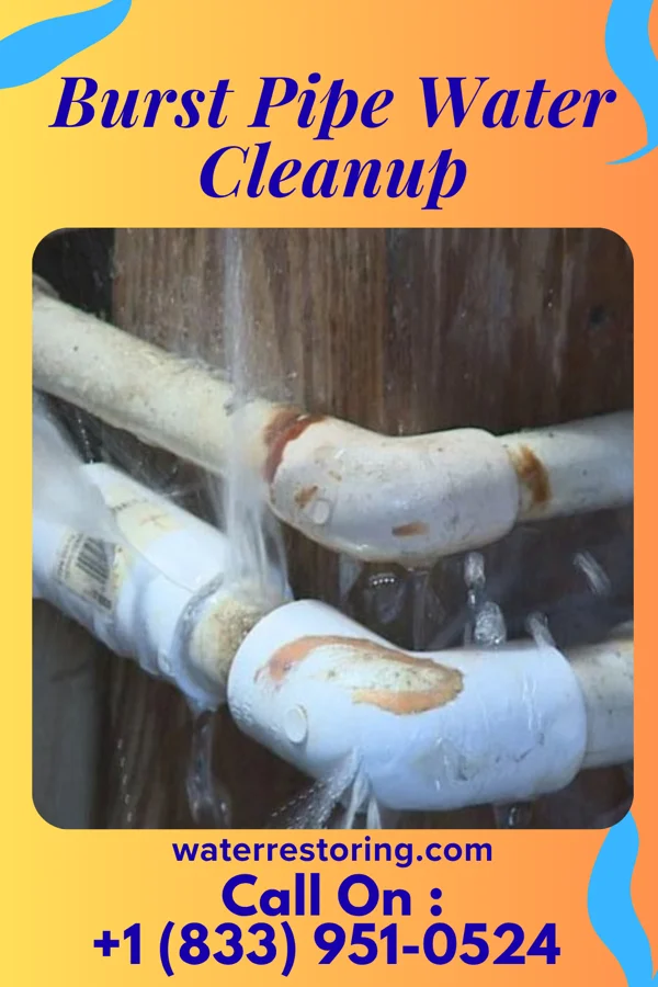 Burst Pipe Water Cleanup in Orebank, TN