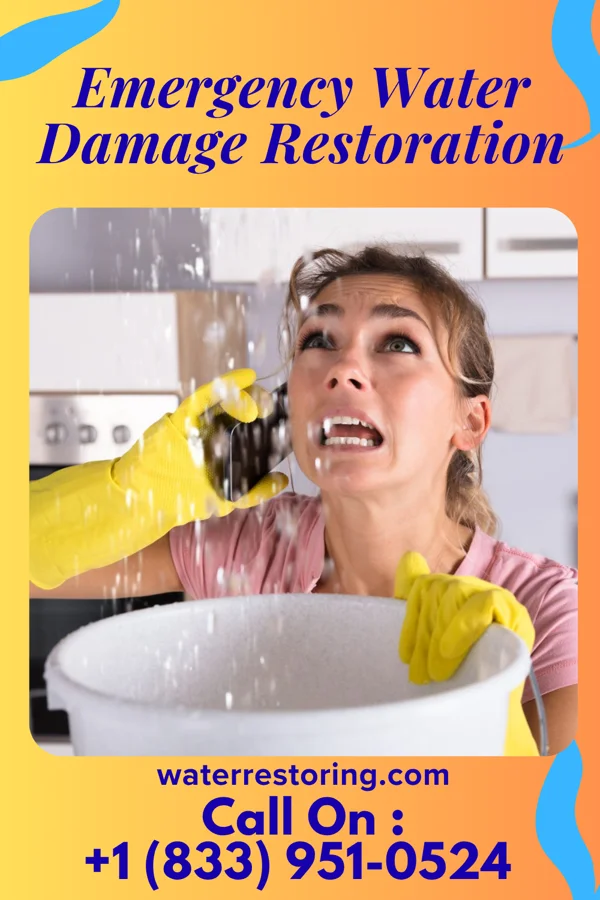 Emergency Water Damage Restoration in Orebank, TN