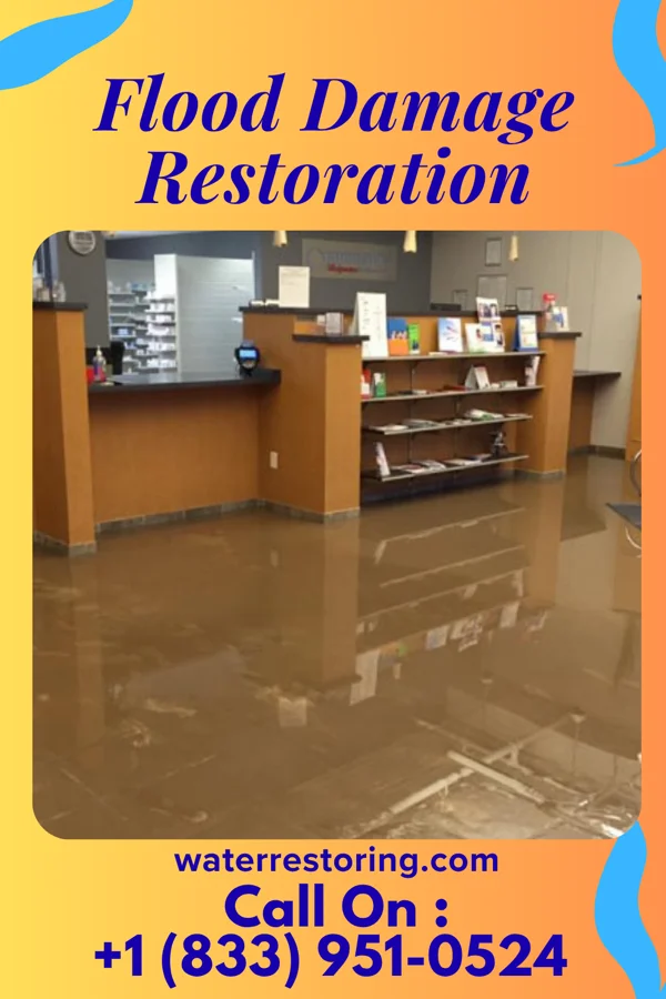 Flood Damage Restoration in Orebank, TN
