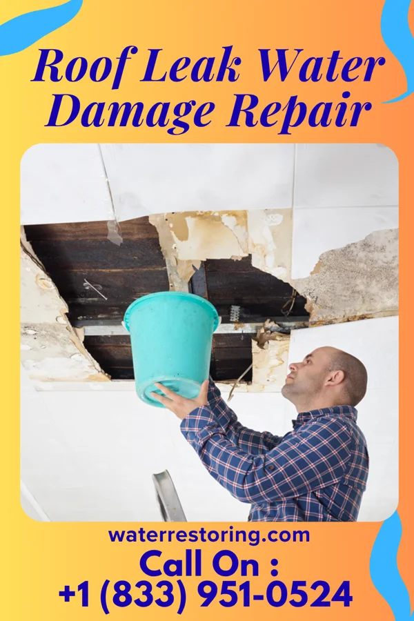 Roof Leak Water Damage Repair in Orebank, TN