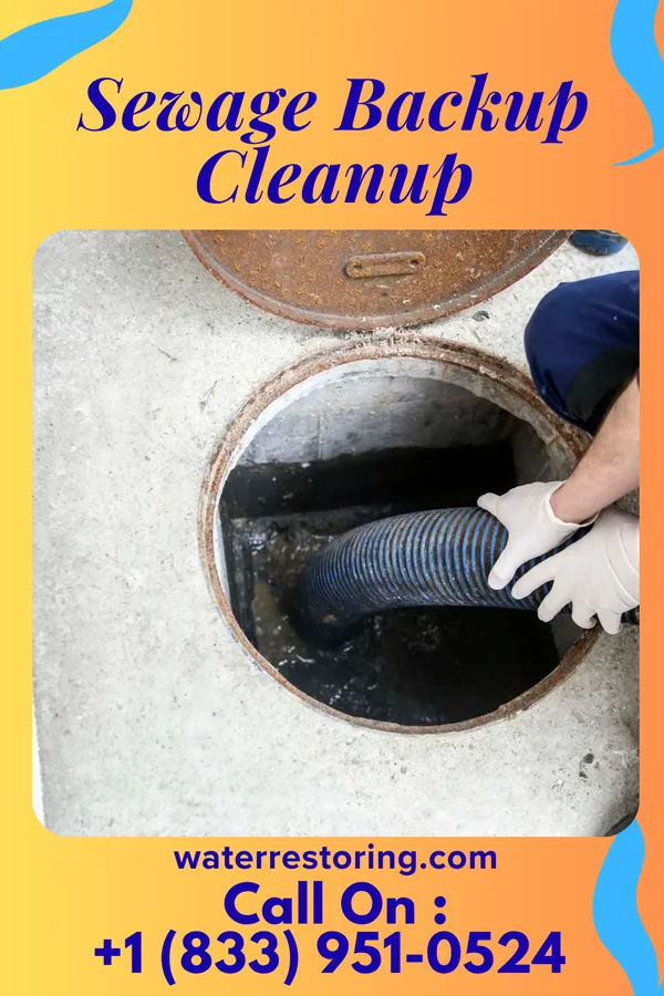 Sewage Backup Cleanup in Orebank, TN